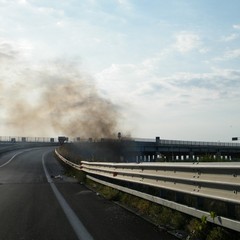 Incendio scarpate della statale 16 bis a Trani