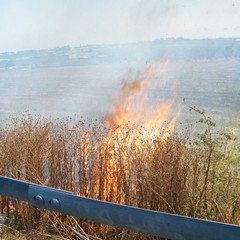 Incendio a ridosso della statale 16 bis
