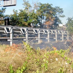 Incendio di sterpaglie a ridosso della statale 16 bis