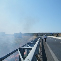 Incendio a ridosso della statale 16 bis