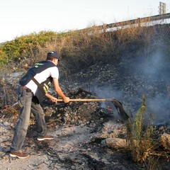 Incendio scarpate della statale 16 bis a Trani