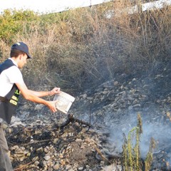 Incendio scarpate della statale 16 bis a Trani