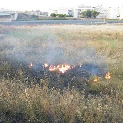 Incendio scarpate della statale 16 bis a Trani