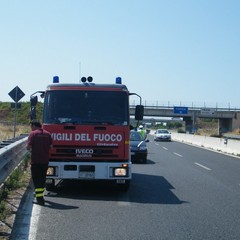 Incendio a ridosso della statale 16 bis