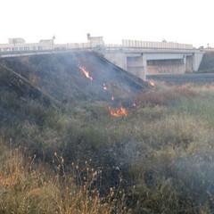 Incendio scarpate della statale 16 bis a Trani