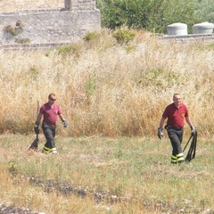 Incendio a ridosso della statale 16 bis