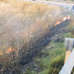 Incendio scarpate della statale 16 bis a Trani