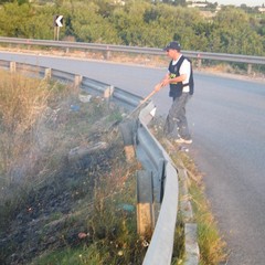 Incendio scarpate della statale 16 bis a Trani
