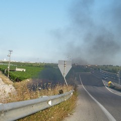 Incendio scarpate della statale 16 bis a Trani
