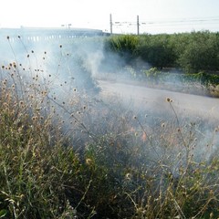 Incendio scarpate della statale 16 bis a Trani