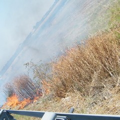Incendio a ridosso della statale 16 bis