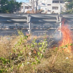 Incendio di sterpaglie a ridosso della statale 16 bis