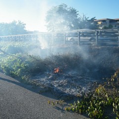 Incendio di sterpaglie a ridosso della statale 16 bis