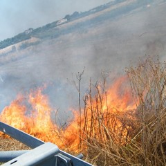 Incendio a ridosso della statale 16 bis