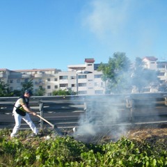 Incendio di sterpaglie a ridosso della statale 16 bis