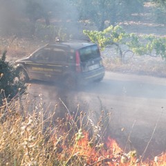 Incendio scarpate della statale 16 bis a Trani