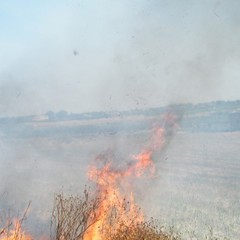 Incendio a ridosso della statale 16 bis