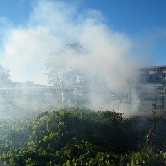 Incendio di sterpaglie a ridosso della statale 16 bis