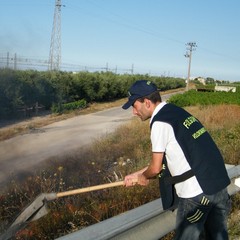 Incendio scarpate della statale 16 bis a Trani