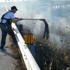 Incendio scarpate della statale 16 bis a Trani