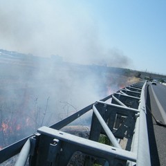 Incendio a ridosso della statale 16 bis