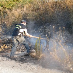 Incendio scarpate della statale 16 bis a Trani