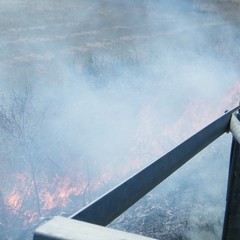 Incendio a ridosso della statale 16 bis