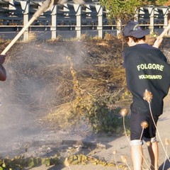 Incendio di sterpaglie a ridosso della statale 16 bis