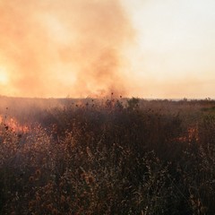Incendio nei pressi del cimitero
