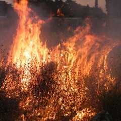 Incendio nei pressi del cimitero