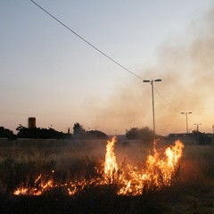 Incendio nei pressi del cimitero
