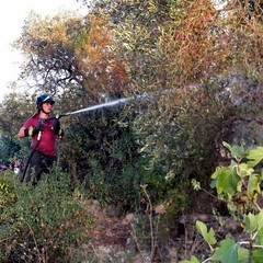 Incendio in via Duchessa D'Andria