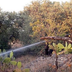 Incendio in via Duchessa D'Andria