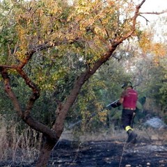 Incendio in via Duchessa D'Andria