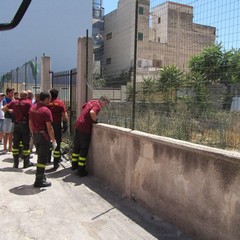 Incendio in via Vecchi