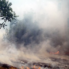 Incendio in via Verdi a Trani