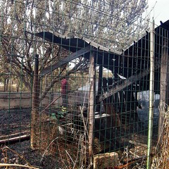 Incendio in via Verdi a Trani