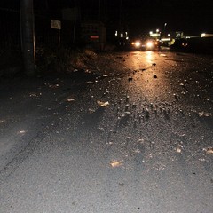 Trani, incidente in via Barletta