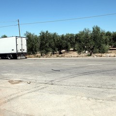 Incidente sulla strada Trani-Corato
