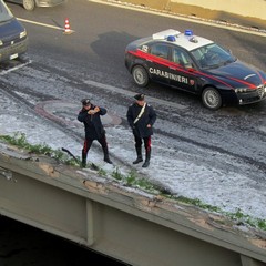 Incidente sulla 16 bis: un camion carico di pasta esce fuori strada