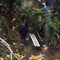 Incidente sulla 16 bis: un camion carico di pasta esce fuori strada