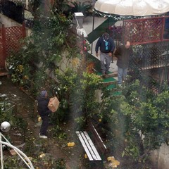 Incidente sulla 16 bis: un camion carico di pasta esce fuori strada