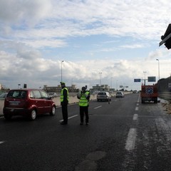 Incidente sulla 16 bis: un camion carico di pasta esce fuori strada