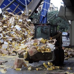 Incidente sulla 16 bis: un camion carico di pasta esce fuori strada