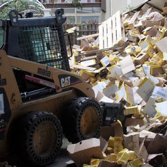 Incidente sulla 16 bis: un camion carico di pasta esce fuori strada