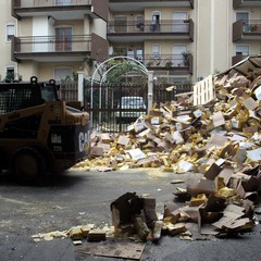 Incidente sulla 16 bis: un camion carico di pasta esce fuori strada