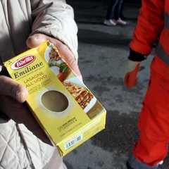 Incidente sulla 16 bis: un camion carico di pasta esce fuori strada