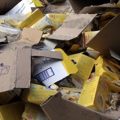 Incidente sulla 16 bis: un camion carico di pasta esce fuori strada