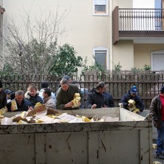 Incidente sulla 16 bis: un camion carico di pasta esce fuori strada