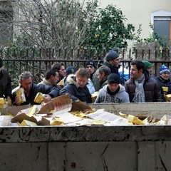 Incidente sulla 16 bis: un camion carico di pasta esce fuori strada